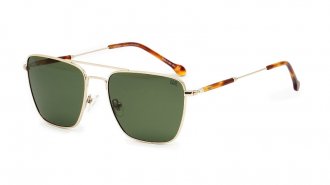 WE 3101 Gold Polarized